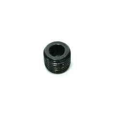 1/8 NPT Plug