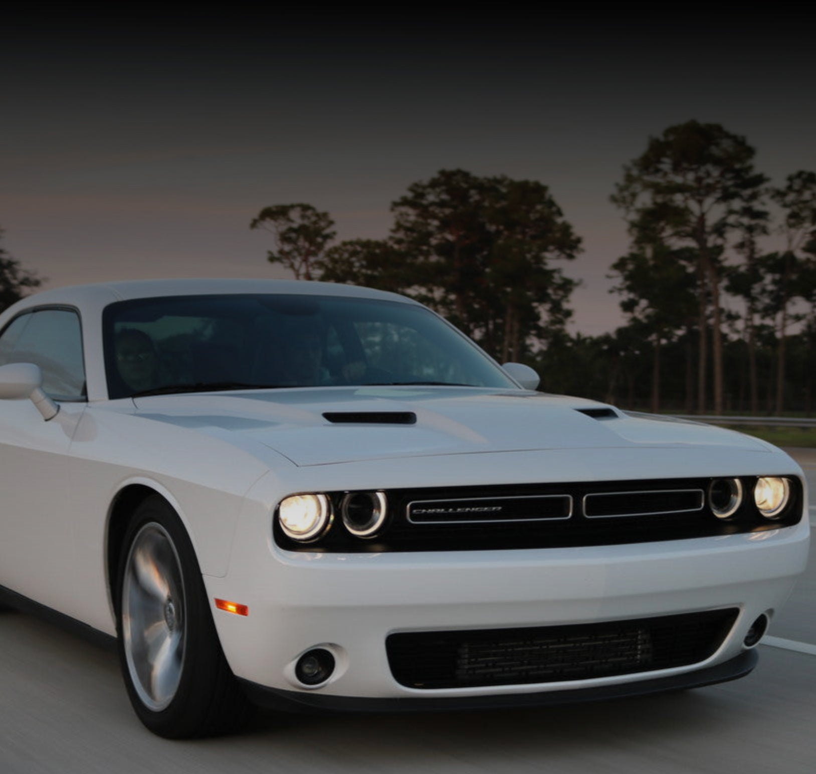 White Dodge Challenger on a road with trees in the background
