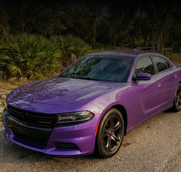 A purple Dodge Charger sedan parked outdoors on a gravel surface with trees and palm plants in the background.